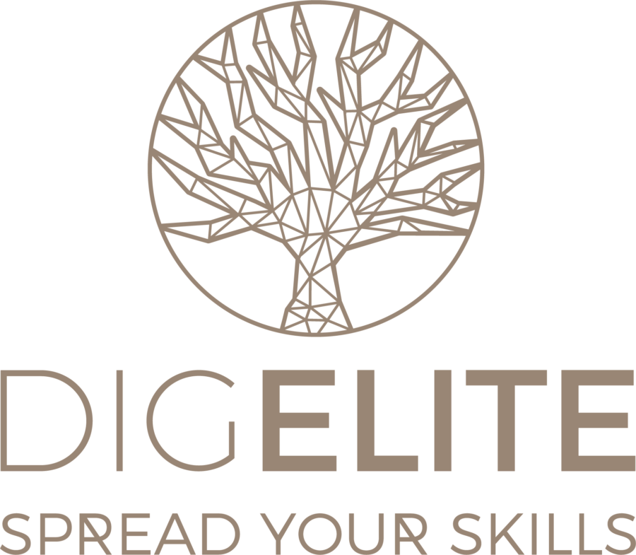 DigElite, digitale Strategien aus Osnabrück
